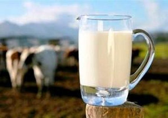 روش های مبارزه با پوکی استخوان در جوانی