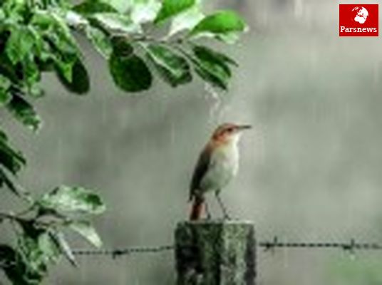 دمای هوا خنک می شود