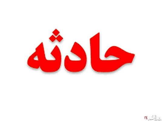 سگ وحشی پسر 3 ساله را کشت+عکس