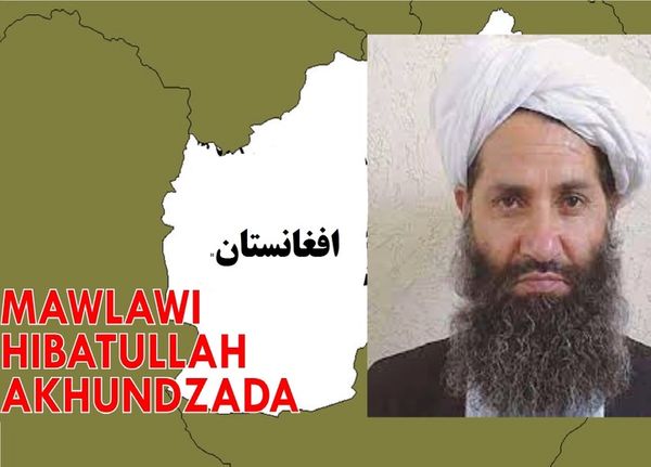 رهبر طالبان را بشناسید  + عکس 