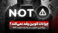 چرا نات کوین رشد نمی‌کند؟