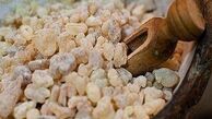 این صمغ گیاهی برای مادران باردار ممنوع! 