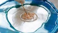 رزین چیست و شناخت انواع رزین