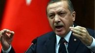 اردوغان: حق داریم هواپیمای ناشناس را سرنگون کنیم