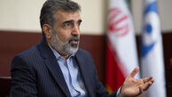 کمالوندی: شهید فخری زاده هیچگونه ملاقات و گفت‌وگویی با آمانو نداشته است
