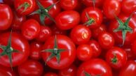 دلیل افزایش دو برابری قیمت گوجه فرنگی