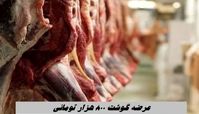 عرضه گوشت ۸۰۰ هزار تومانی + قیمت گوشت منجمد 