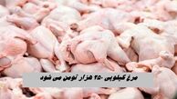 مرغ کیلویی ۲۵۰ هزار تومان می‌ شود