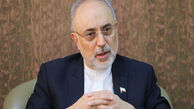صالحی و موگرینی دیدار کردند