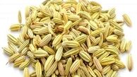 چربی سوزی شگفت انگیز با دمنوش رازیانه