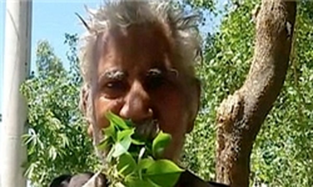 غذای این مرد فقط شاخه و برگ درختان است+تصاویر