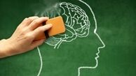 با این رژیم غذایی آلزایمر را فراری دهید