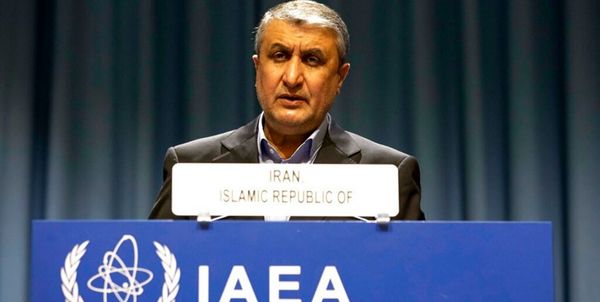 محمد اسلامی: آمریکا فوراً تحریم‌ ها را لغو کند و به برجام برگردد