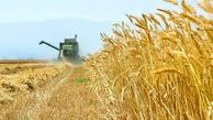  مانع مکانیزه شدن کشاورزی کمبود تجهیزات است