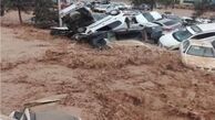 فیلم:: اقدام تحسین برانگیز شهروندان شیرازی برای کمک به سیل زدگان