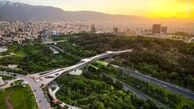 پل طبیعت بنفش می شود