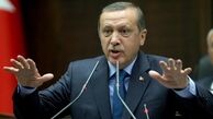 اردوغان: تصمیم نداریم در سوریه بمانیم

