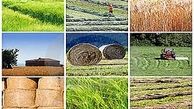 سایه نامهربانی واردات بر سر تولید داخل