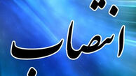 فاضل عبادی به عنوان مدیرکل دبیرخانه شورای فرهنگ عمومی منصوب شد