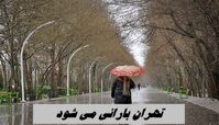 تهران بارانی می شود