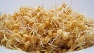 به جای کاشت مو این جوانه را مصرف کنید / تا عید نوروز موهای درهم تنیده داشته باشید
