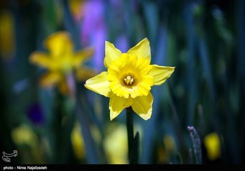 139401231125087735082354