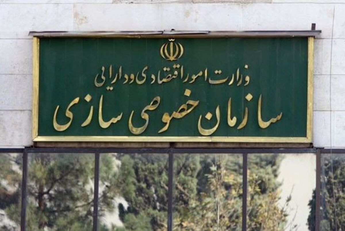 اهلیت خریدار و ارزیابی دقیق  باید مبنای هرگونه واگذاری به بخش خصوصی قرار گیرد