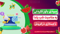 دیجی فالوور برندی نوین با پورسانتی بی‌نظیر: همکاری در فروش با سود بالا در یلدای امسال فقط با دیجی فالوور
