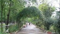 کاهش ۸ درجه‌ای دما در سطح کشور