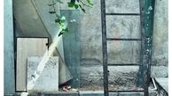 خردجویی به سبک مهدی پاکدل+عکس