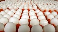 عرضه تخم مرغ‌های غیربهداشتی در سطح شهر 