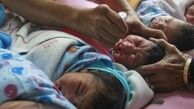  کشف یک «مزرعه نوزاد» در هند 