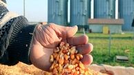 انحصار درخوراک طیور و واردات محصولات تراریخته