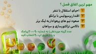 افشاگری مالک تیم فوتبال ایرانی