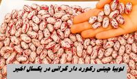  لوبیا چیتی رکورد دار گرانی در یکسال اخیر !+ نمودار تغییرات قیمت کالاهای اساسی