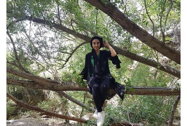 دریا مرادی دشت بالای درخت + عکس