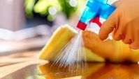 ضد عفونی سطوح با این 8 گیاه در کمتر از 30 ثانیه