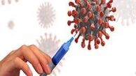 آنتی بادی بعد از واکسیناسیون کرونا از چه زمانی فعال می شود ؟
