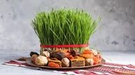کاشت سبزه فوری عید ویژه فراموشکارها ؛ این دفعه رو دیگه جا نمونید وقت ندارید !