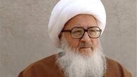 وزیر نیرو با آیت‌الله وحید خراسانی دیدار کرد