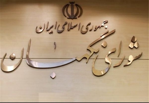 شورای نگهبان به قانون عمل کرد/نبایدهرمسئله‌ای را با حزب ما بسنجند