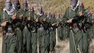  ۸۳۰ تن از منافقین را به اینترپل معرفی کرده‌‌ایم