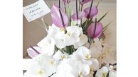 هدیه پسر رضا قوچان نژاد برای خانم بازیگر+عکس