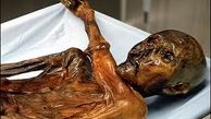 کدام جسدها در ایران مومیایی می‌شوند؟