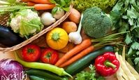 ترفند نگهداری از مواد غذایی برای مدت طولانی