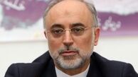 امیدواریم اروپایی‌ها بتوانند، خروج آمریکا را جبران کنند