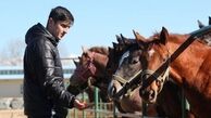 سردار آزمون: ۹۰ درصد مربیان اسب ایران اعتیاد دارند!
