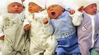 جزئیات جدید عرضه شیرخشک‌های رژیمی