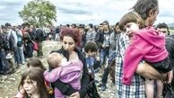 چند میلیون پناه‌جو درجهان وجود دارد؟