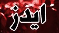 آمار شناسایی شده مبتلایان به ایدز در ایران